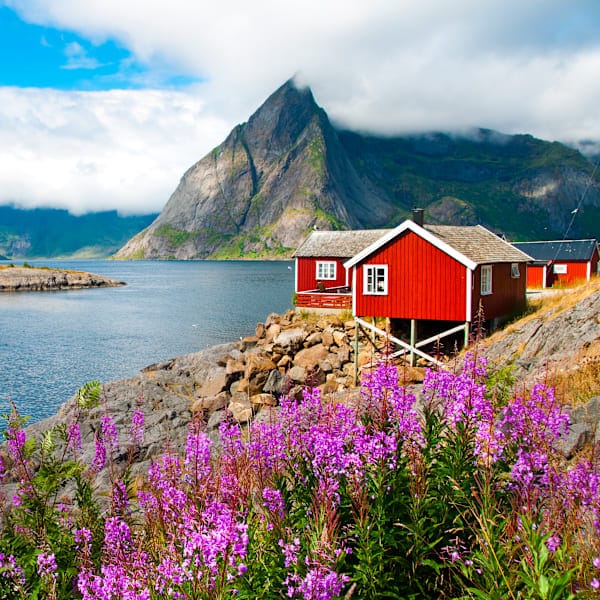 Nordic road trip: Lofoten and Senja island adventure